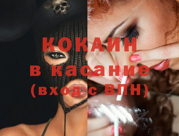 крисы Алексин