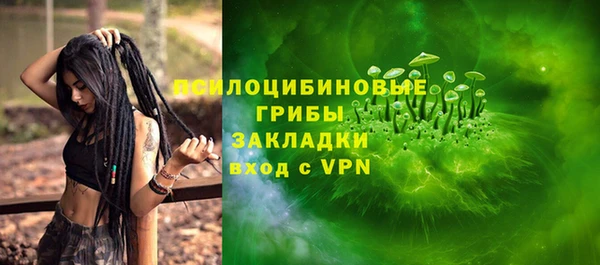 крисы Алексин