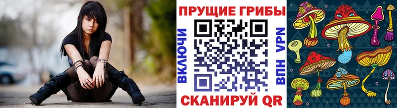 Галлюциногенные грибы Psilocybine cubensis  Купить  Йошкар-Ола 